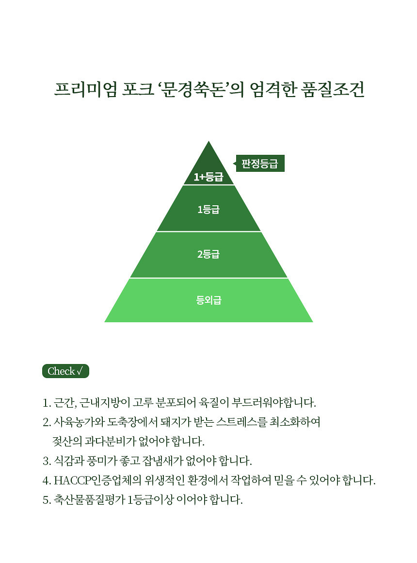 1750810513_6.jpg